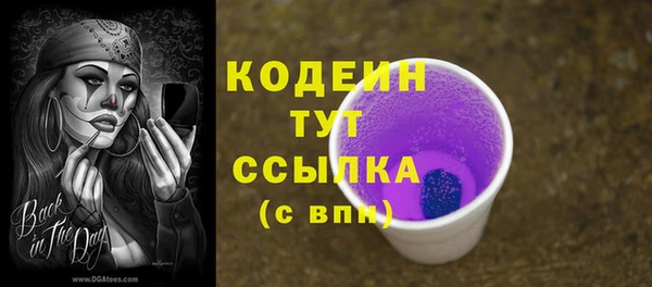 крисы Тобольск