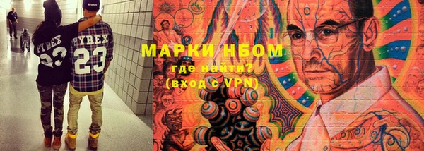 крисы Сковородино