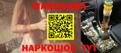 сатива Будённовск