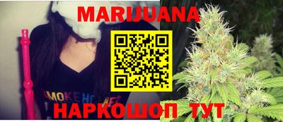 сатива Будённовск