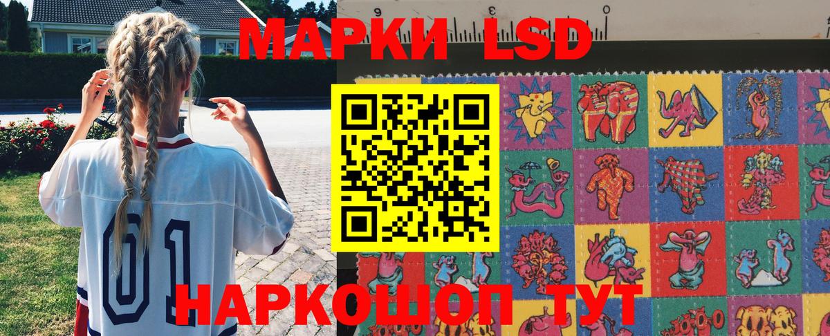Галлюциногенные грибы Фрязино