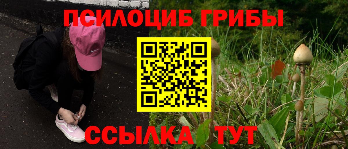 Галлюциногенные грибы MAGIC MUSHROOMS  где купить наркоту  Фрязино 