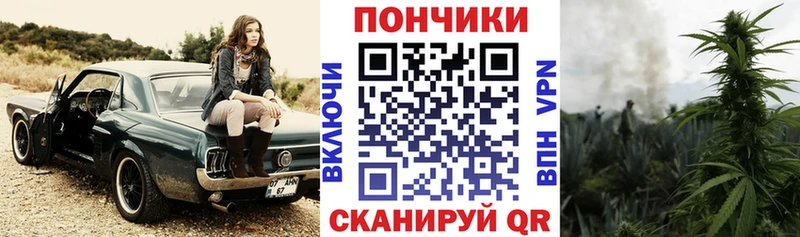 Канабис гибрид  Фрязино 